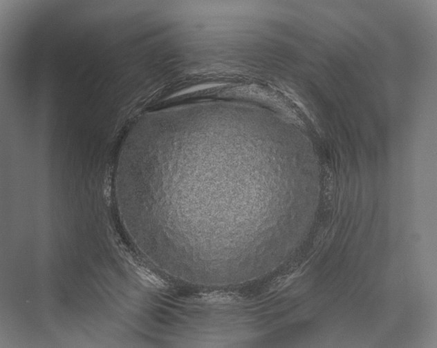 X0000069790545200606021416