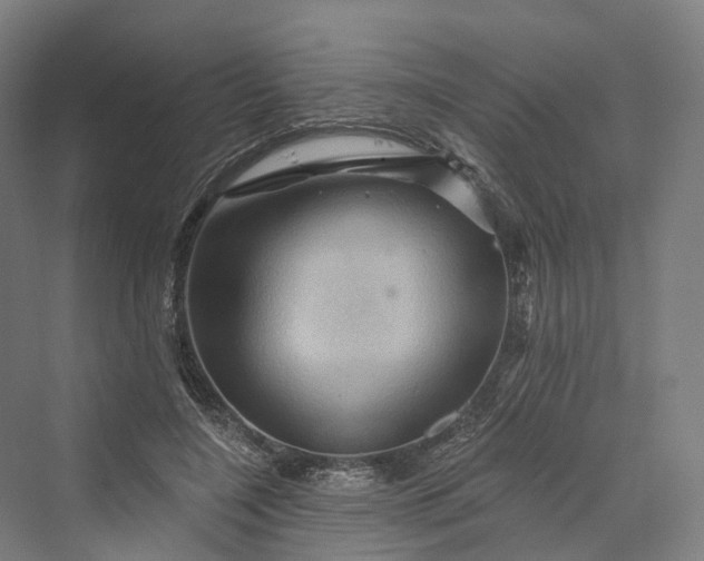 X0000069790548200606021416