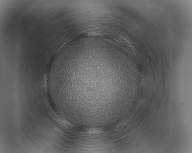 X0000069790549200606021416