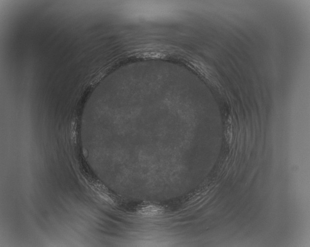 X0000069790551200606021416