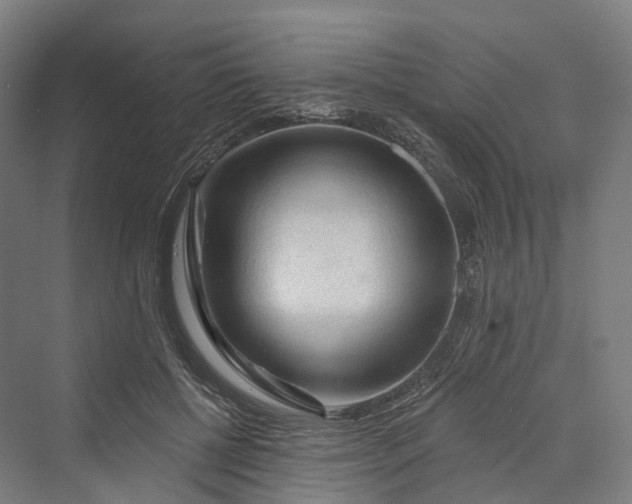 X0000069790552200606021416