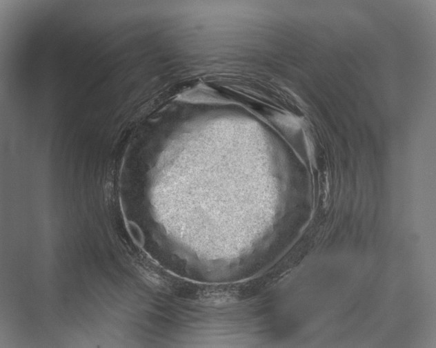 X0000069790553200606021416