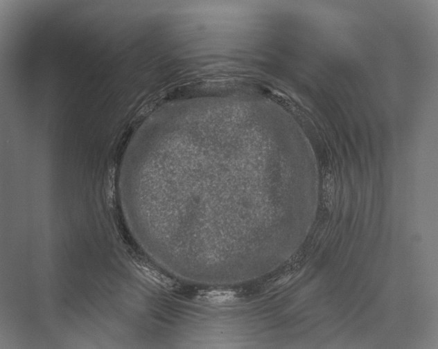 X0000069790554200606021416