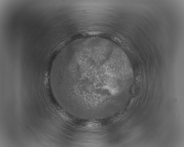 X0000069790555200606021416