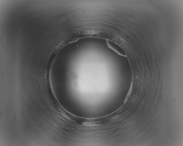 X0000069790556200606021416