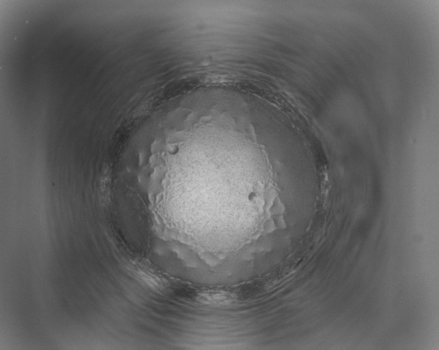 X0000069790557200606021416