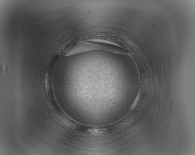 X0000069790558200606021416