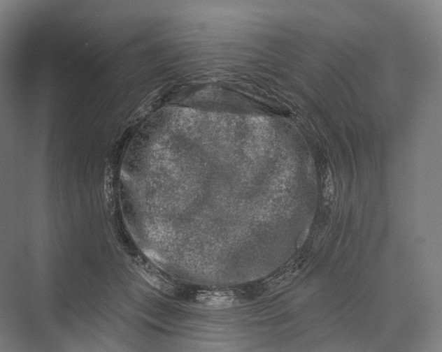 X0000069790559200606021416