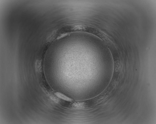 X0000069790560200606021416