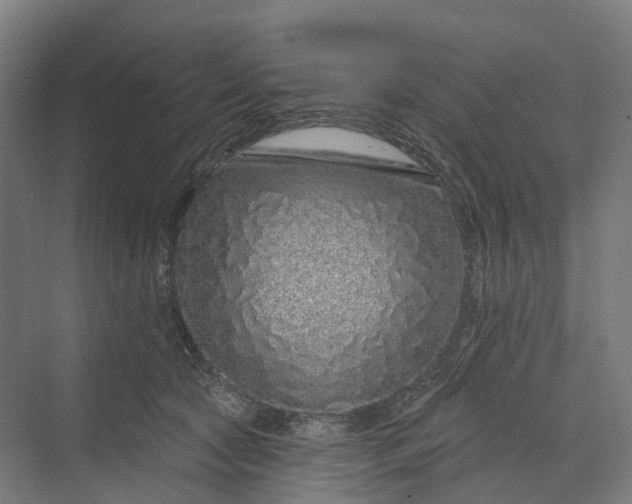 X0000069790561200606021416