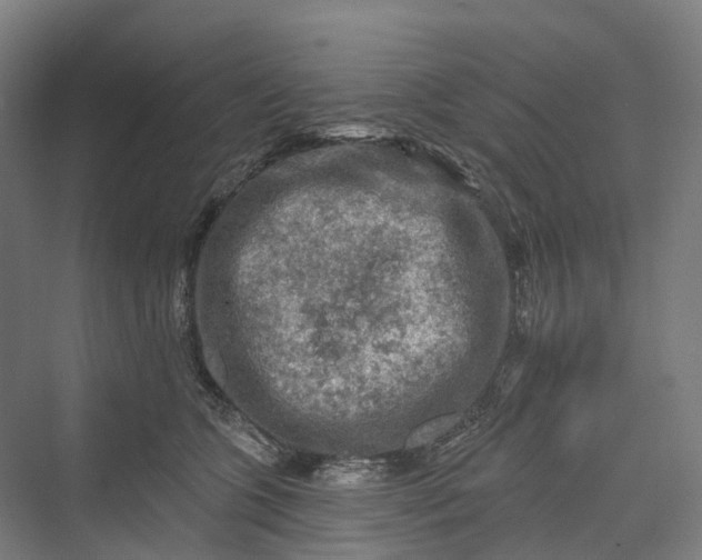 X0000069790563200606021416