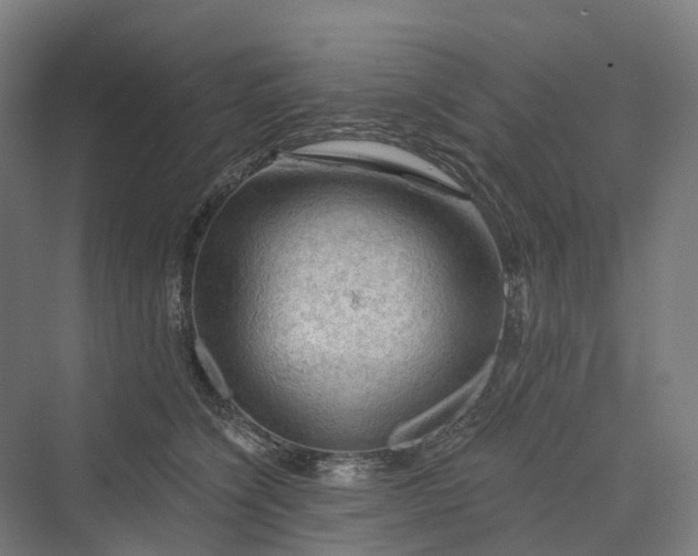 X0000069790564200606021416