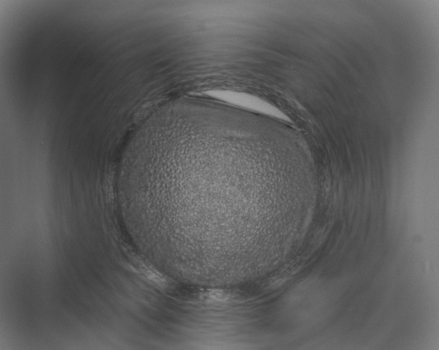 X0000069790565200606021416