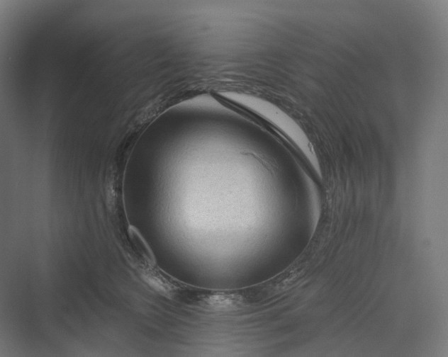 X0000069790566200606021416