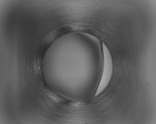 X0000069790567200606021416