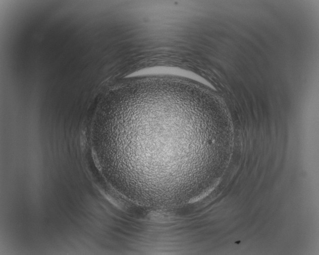 X0000069790568200606021416