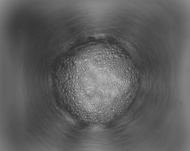 X0000069790569200606021416