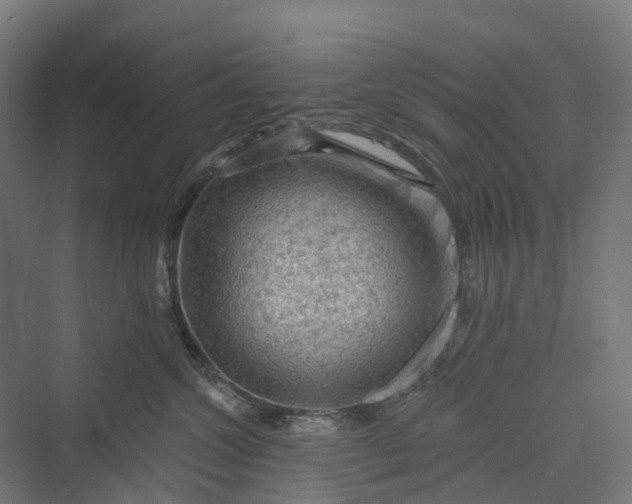 X0000069790572200606021416