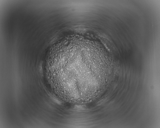 X0000069790573200606021416