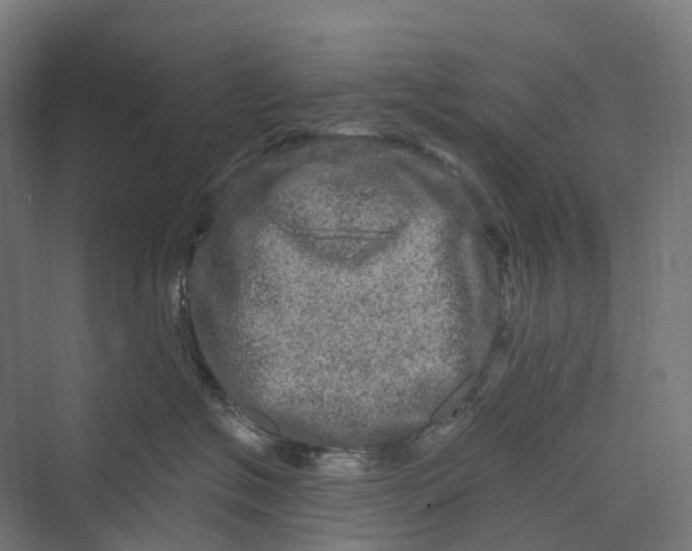 X0000069790574200606021416