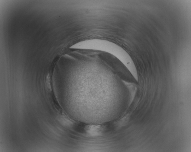 X0000069790575200606021416