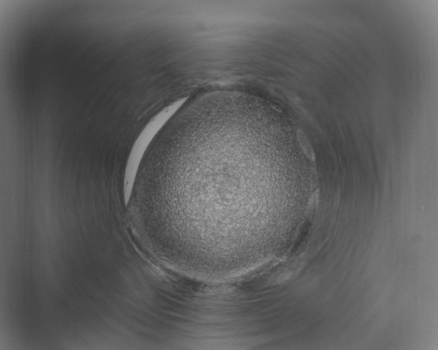 X0000069790576200606021416