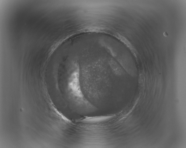 X0000069790577200606021415