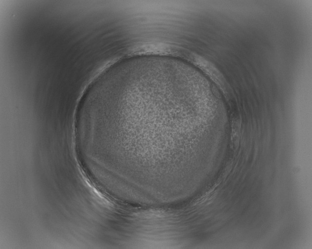 X0000069790578200606021415