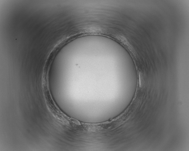 X0000069790579200606021415