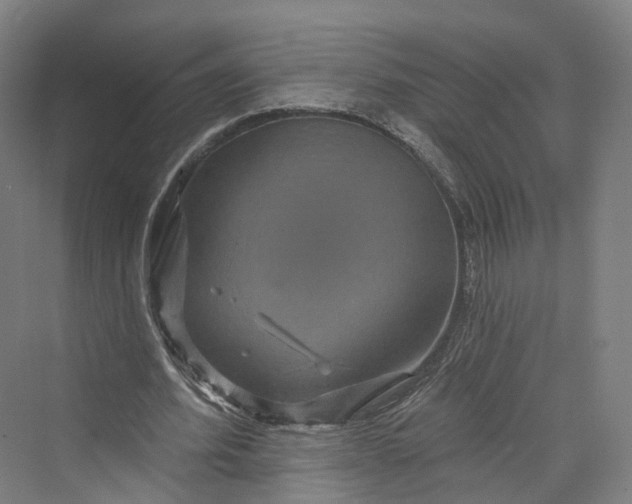 X0000069790580200606021415