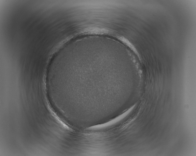 X0000069790581200606021415