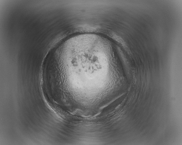 X0000069790582200606021415