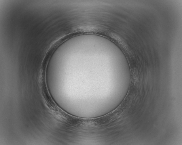 X0000069790583200606021415