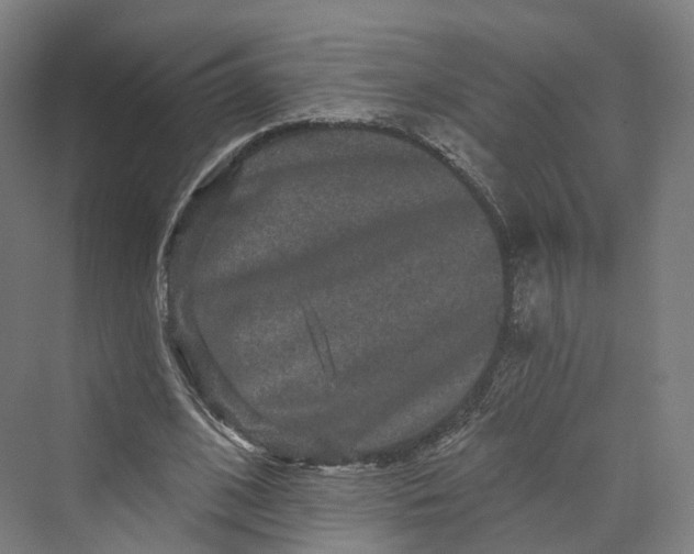 X0000069790584200606021415