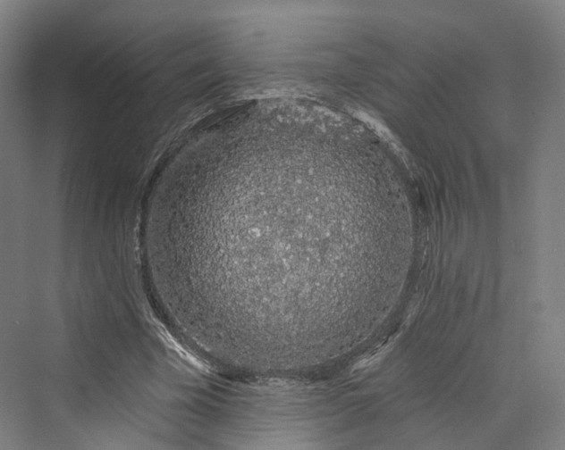 X0000069790585200606021415