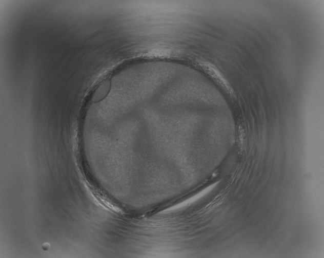 X0000069790588200606021415