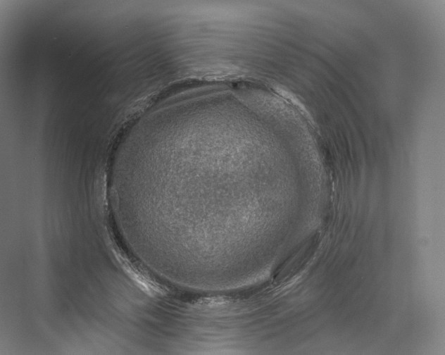 X0000069790589200606021415