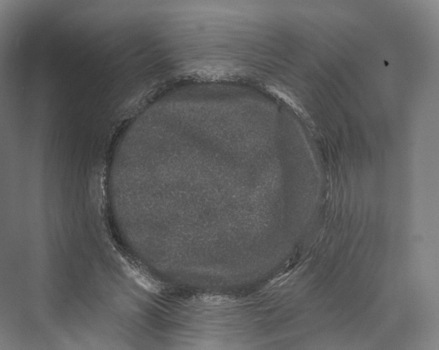 X0000069790590200606021415