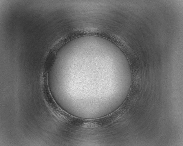 X0000069790591200606021415