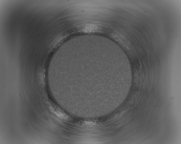 X0000069790592200606021415