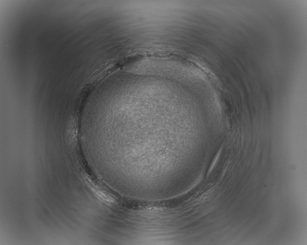 X0000069790593200606021415