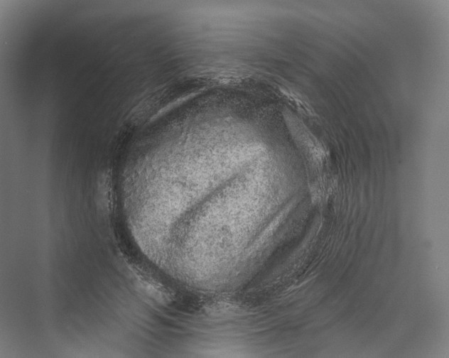 X0000069790594200606021415