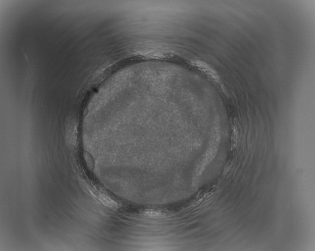 X0000069790596200606021415