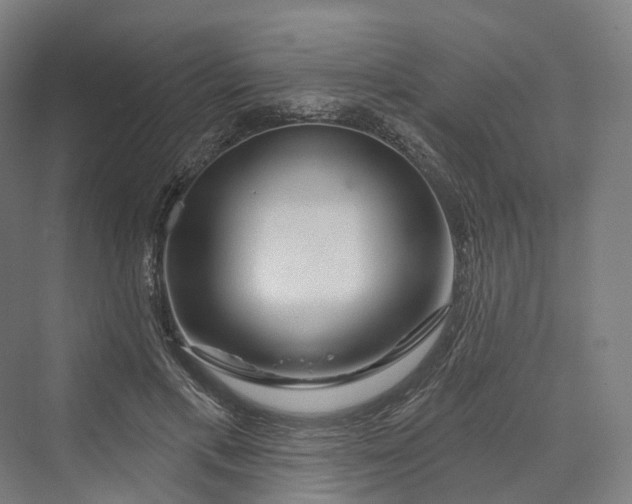 X0000069790597200606021415