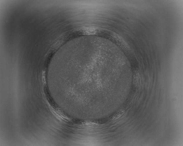 X0000069790598200606021415