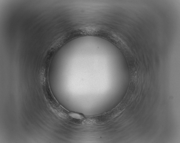 X0000069790599200606021415