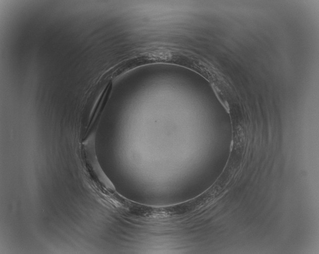 X0000069790600200606021415