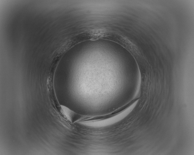 X0000069790601200606021415