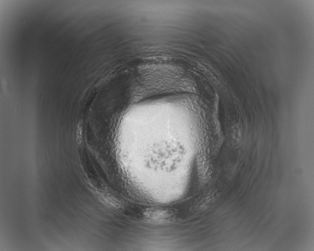 X0000069790602200606021415