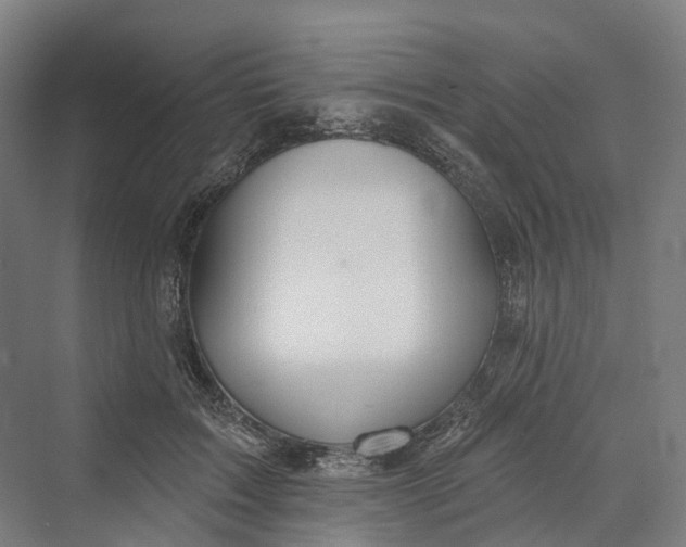 X0000069790603200606021415